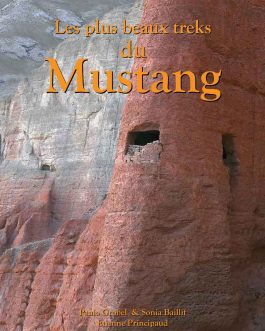 Trekking in the Mustang