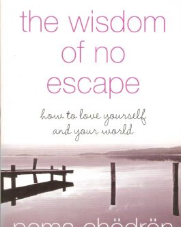 The Wisdom of no Escape